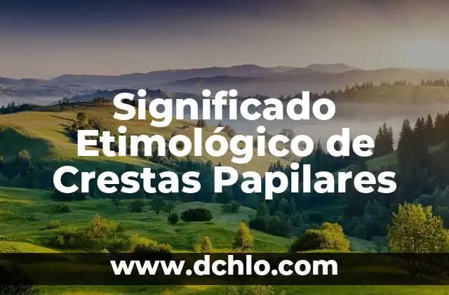 Significado Etimológico de Civilización China 6 Significado Etimológico de Crestas Papilares