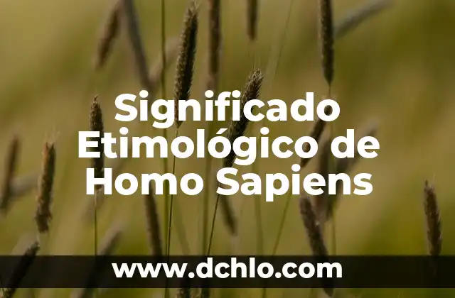 Significado Etimológico de Historia Yahoo 4 Significado Etimológico de Homo Sapiens
