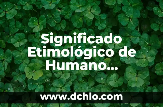 Significado Etimológico de Historia Yahoo 8 Significado Etimológico de Humano Wikipedia
