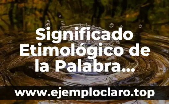 Significado Etimológico de la Palabra Droga