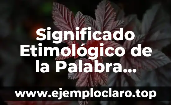 Significado Etimológico de la Palabra Geografía