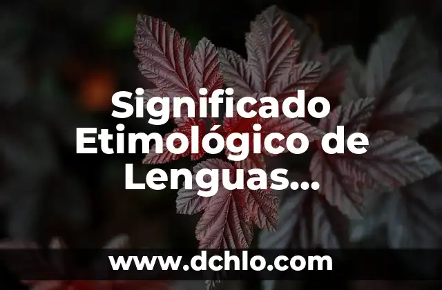Significado Etimológico de Lógica Simbólica 5 Significado Etimológico de Lenguas Romances