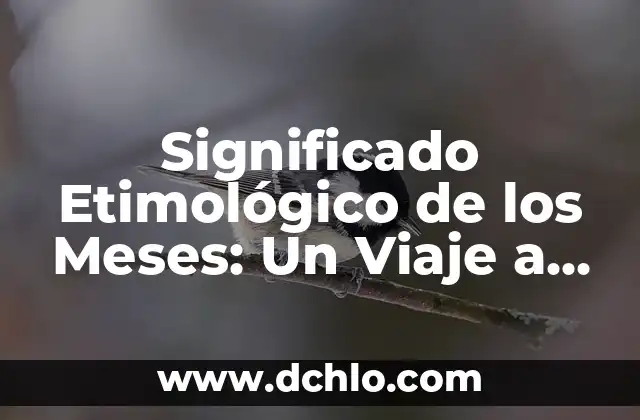 El Significado de Hidra: Un Viaje a Través de la Mitología y Más 6 Significado Etimológico de los Meses: Un Viaje a través del Tiempo