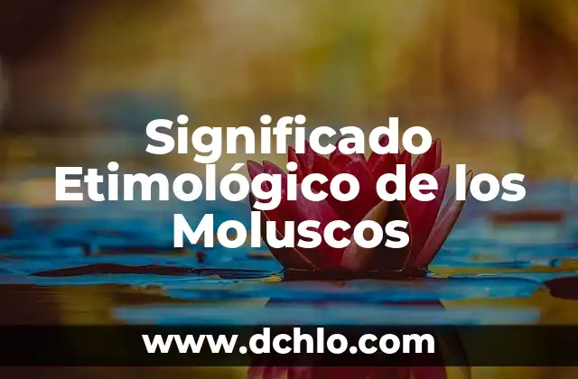 Significado de Contundencia en Lógica: Conceptos y Aplicaciones 5 Significado Etimológico de los Moluscos