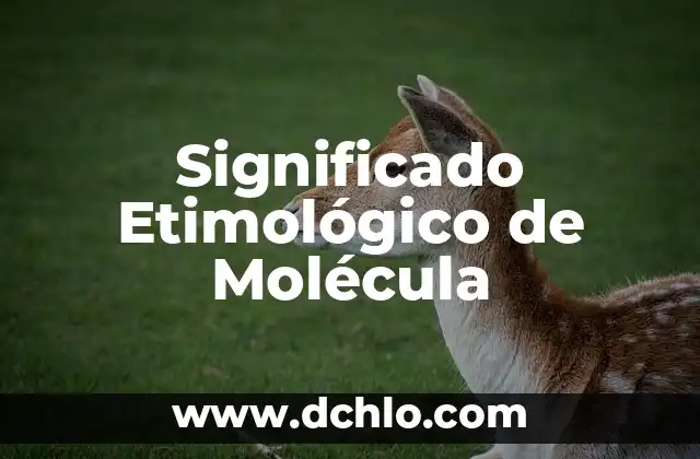 ¿Por qué se regala una rosa el 23 de abril? | Significado y Tradición 6 Significado Etimológico de Molécula