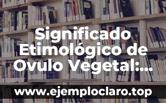 Significado Etimológico de Ovulo Vegetal: Un Viaje al Origen
