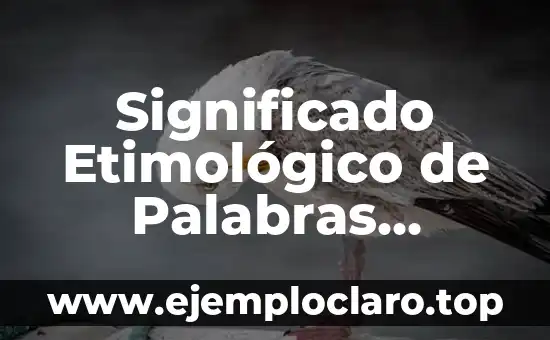Significado Etimológico de Palabras Compuestas