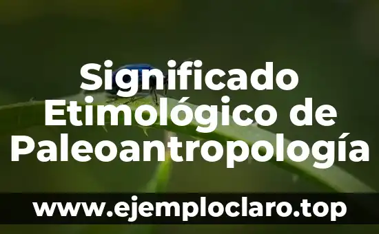 Significado Etimológico de Paleoantropología