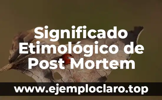 Significado Etimológico de Post Mortem
