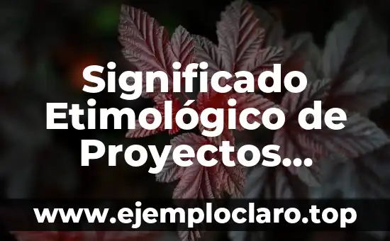 Significado Etimológico de Proyectos Institucionales