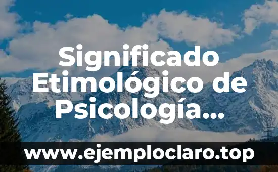 Significado Etimológico de Psicología Social