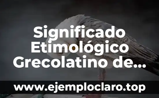 Significado Etimológico Grecolatino de San