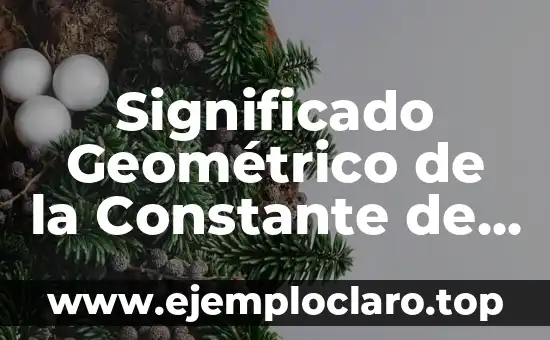 Surgimiento: Un Concepto en Constante Evolución 4 Significado Geométrico de la Constante de Integración