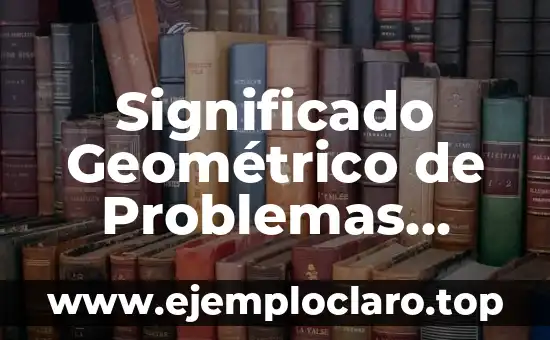 Como hacer problemas de herencia de un solo gen 7 Significado Geométrico de Problemas Resueltos
