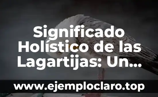 Instrumentos de Danza Cristiana: Un Enfoque Profundo en su Significado 4 Significado Holístico de las Lagartijas: Un Enfoque Integral