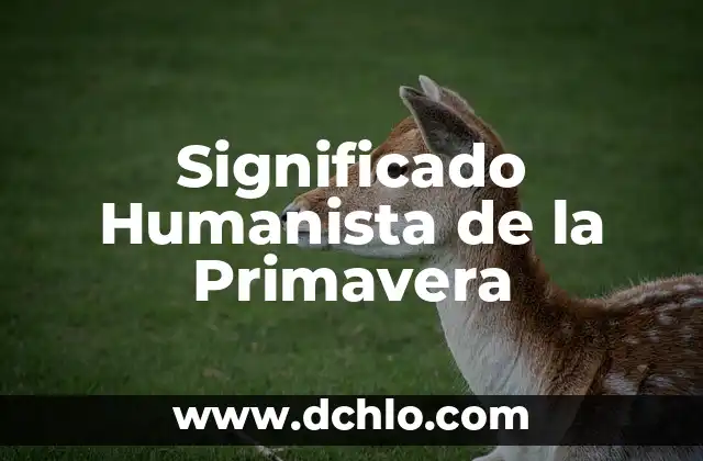 El Significado de la Flor de Loto Abierta 7 Significado Humanista de la Primavera