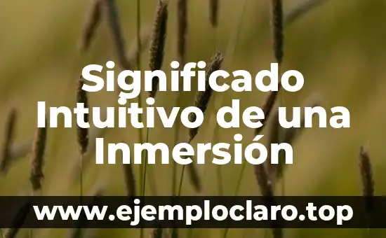 Significado Intuitivo de una Inmersión