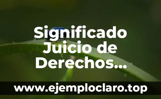Significado Juicio de Derechos Electorales