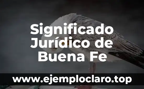 Significado Jurídico de Buena Fe