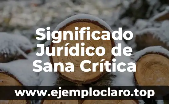 Arrobamiento, un Concepto Jurídico Fundamental 5 Significado Jurídico de Sana Crítica