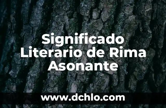 El Significado de Ser Universitario: Un Viaje de Descubrimiento y Crecimiento 4 Significado Literario de Rima Asonante