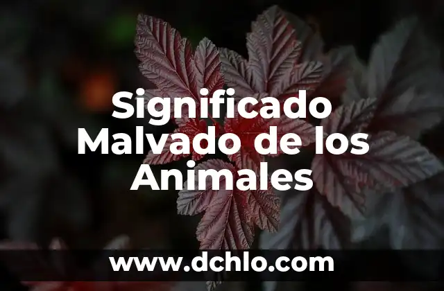 El Significado de Semilla Chía: Todo Lo Que Necesitas Saber 4 Significado Malvado de los Animales