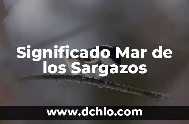 Significado de la Marca de Maldición de Sasuke 5 Significado Mar de los Sargazos