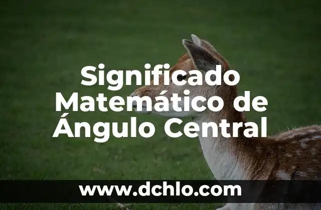 Servidor Central de Actualizaciones: Concepto y Funcionalidad 6 Significado Matemático de Ángulo Central