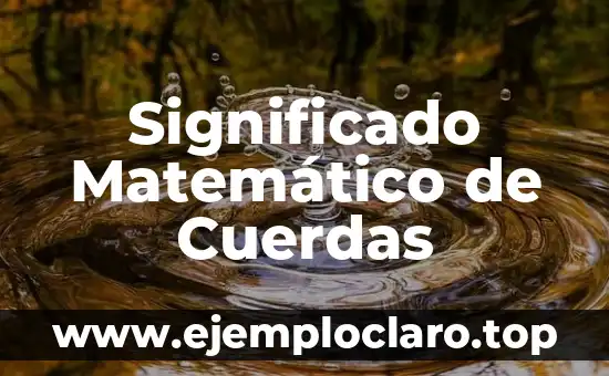 Las Cuerdas Vocales: Definición y Función 4 Significado Matemático de Cuerdas