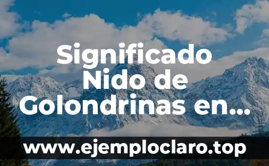 Significado Nido de Golondrinas en Casa