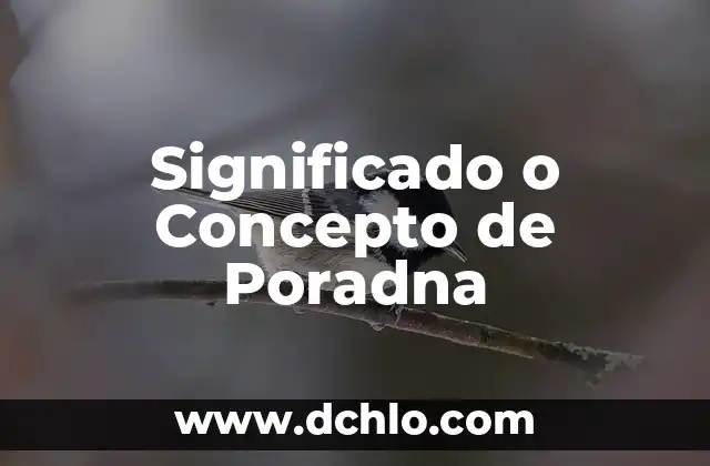 El Significado de Exacerbar: Un Concepto Fundamental 7 Significado o Concepto de Poradna