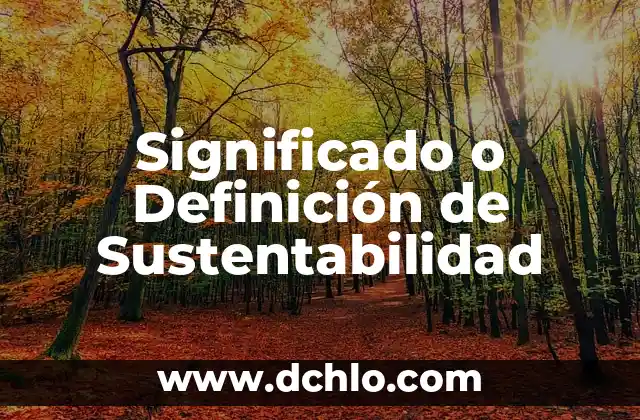 El significado del escepticismo 4 Significado o Definición de Sustentabilidad