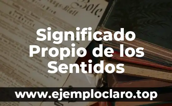 Significado de la Cestería: Un Arte Tradicional 5 Significado Propio de los Sentidos