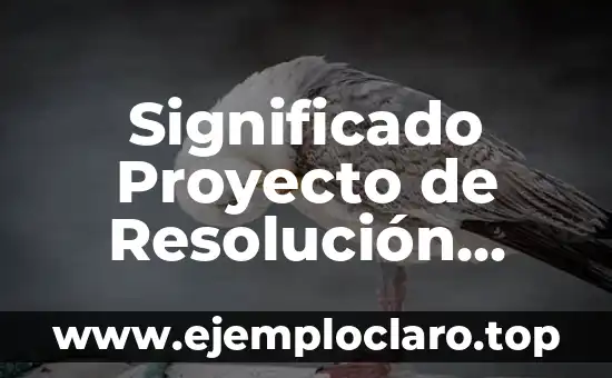 Significado de la Cestería: Un Arte Tradicional 7 Significado Proyecto de Resolución Laboral