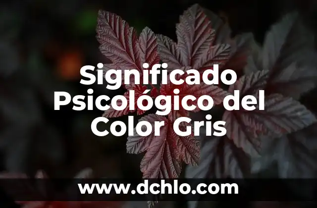 Cómo hacer el color gris plata 4 Significado Psicológico del Color Gris