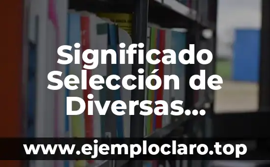 Alando: Un Concepto Esencial en Diversas Disciplinas 4 Significado Selección de Diversas Propuestas: Una Guía Completa