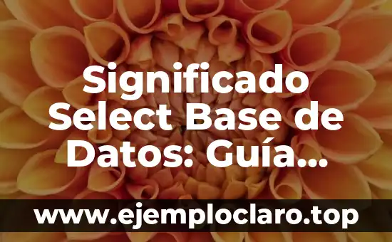 Cómo hacer una base de datos de música 8 Significado Select Base de Datos: Guía Completa