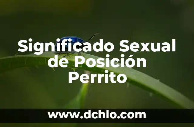 La Posición de una Espada: Un Mundo de Significados y Técnicas 5 Significado Sexual de Posición Perrito