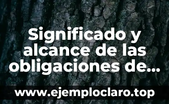 Significado y alcance de las obligaciones de la autoridad