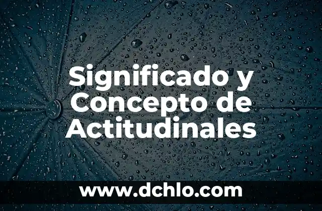 El Significado de Fidencio 3 Significado y Concepto de Actitudinales