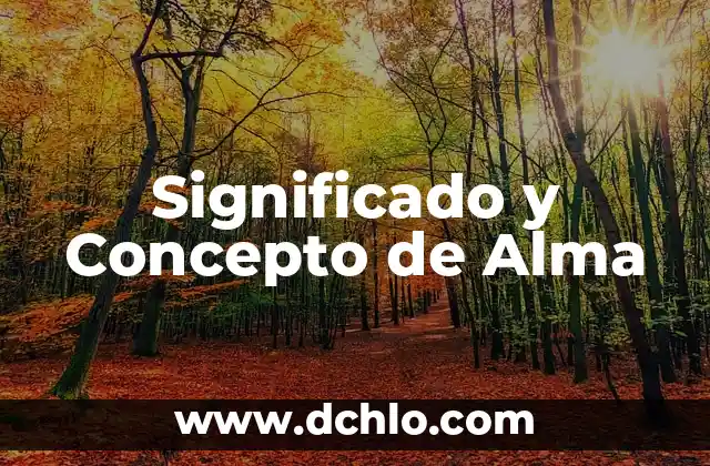 Buscar el significado de los ecos: Un viaje al corazón de las resonancias 7 Significado y Concepto de Alma
