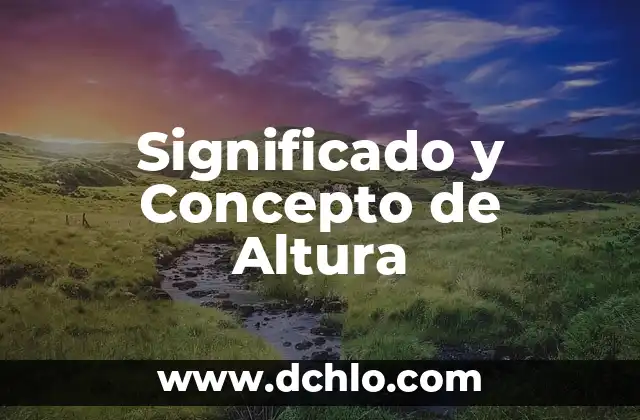 Ambigüedad: El concepto y su significado 4 Significado y Concepto de Altura
