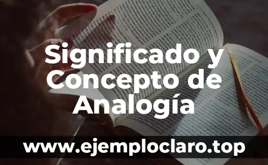 Significado y Concepto de Analogía