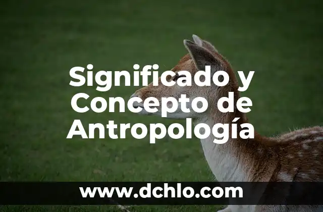 Significado y Concepto de Colágeno 7 Significado y Concepto de Antropología