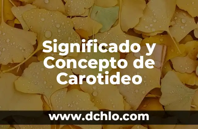 Significado y Concepto de Aristócrata 8 Significado y Concepto de Carotideo