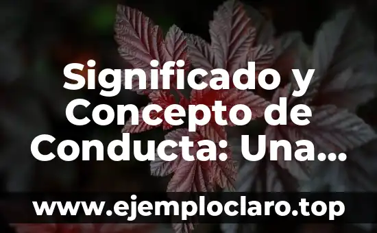 Significado y Concepto de Conducta: Una Guía Completa