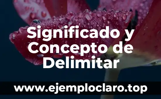 Significado y Concepto de Delimitar