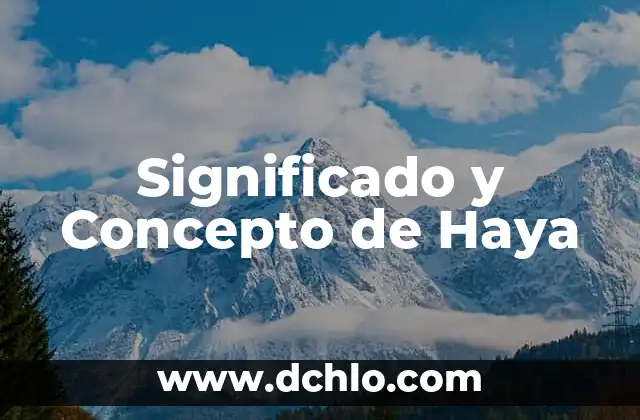 Significado y Concepto de Hematemesis 6 Significado y Concepto de Haya