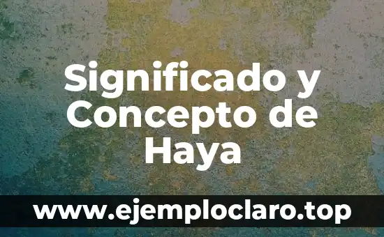Significado y Concepto de Haya