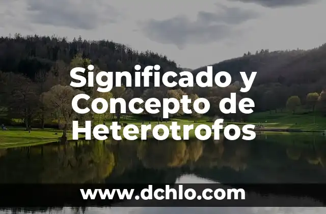 Significado y Concepto de Hormonas 4 Significado y Concepto de Heterotrofos